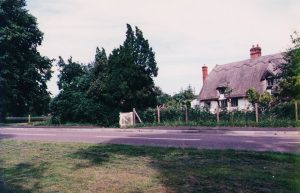 White Cottage