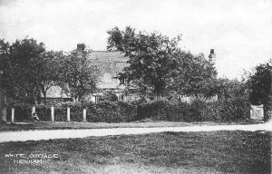 White Cottage Postcard